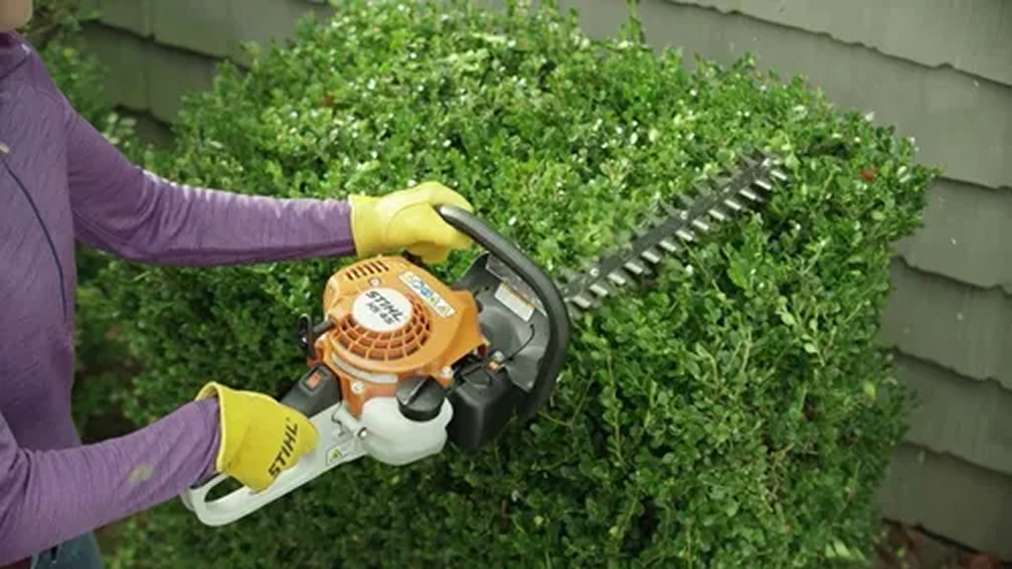 Cortasetos STIHL