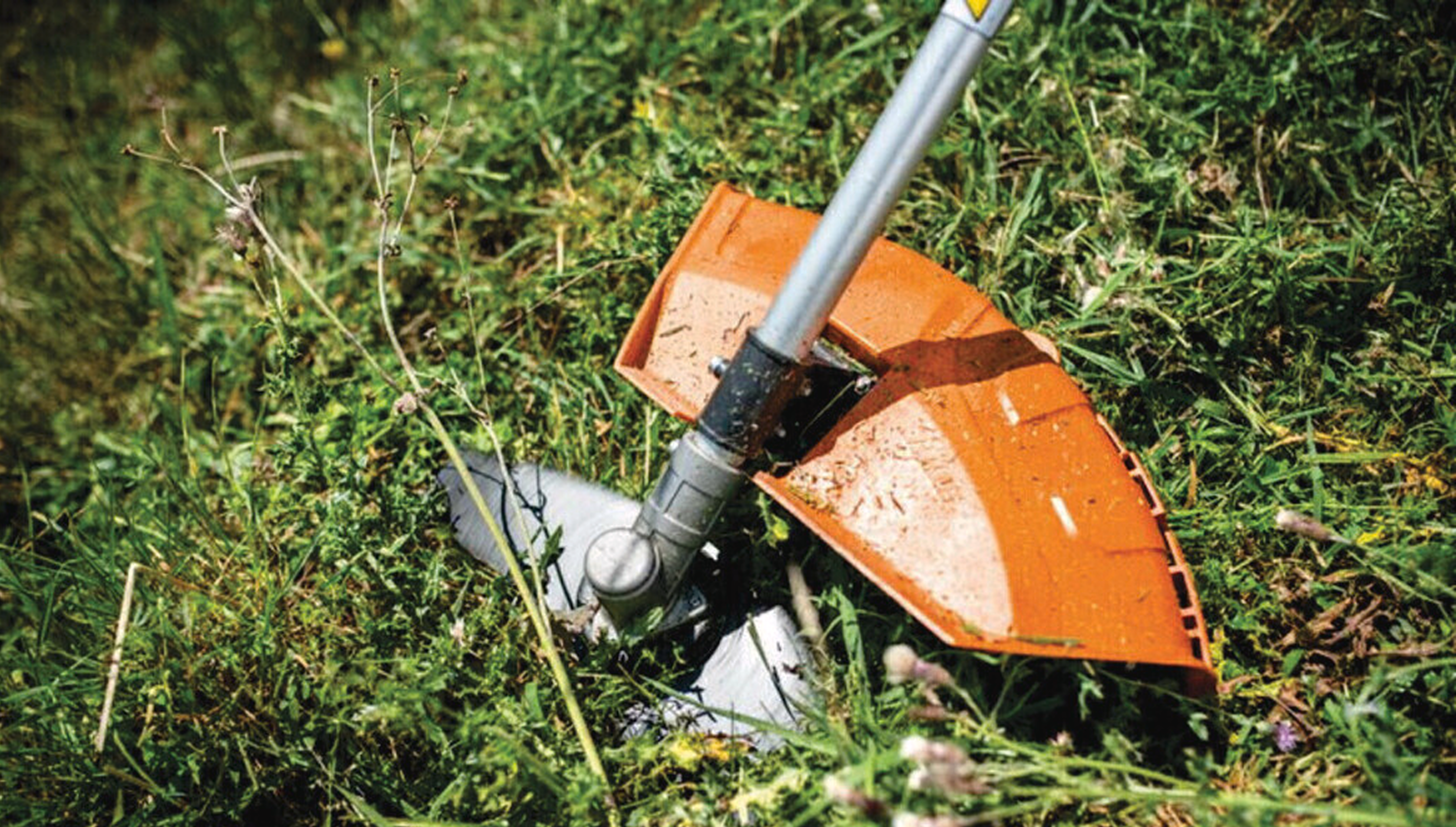 Guada&ntilde;as STIHL